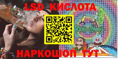 шишки Нарткала